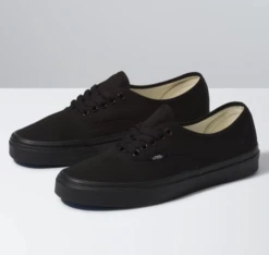 VANS AUTHENTIC SHOES (VN000EE3BKA)