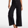 BILLABONG FREE FALL PANT (ABJDP00141)